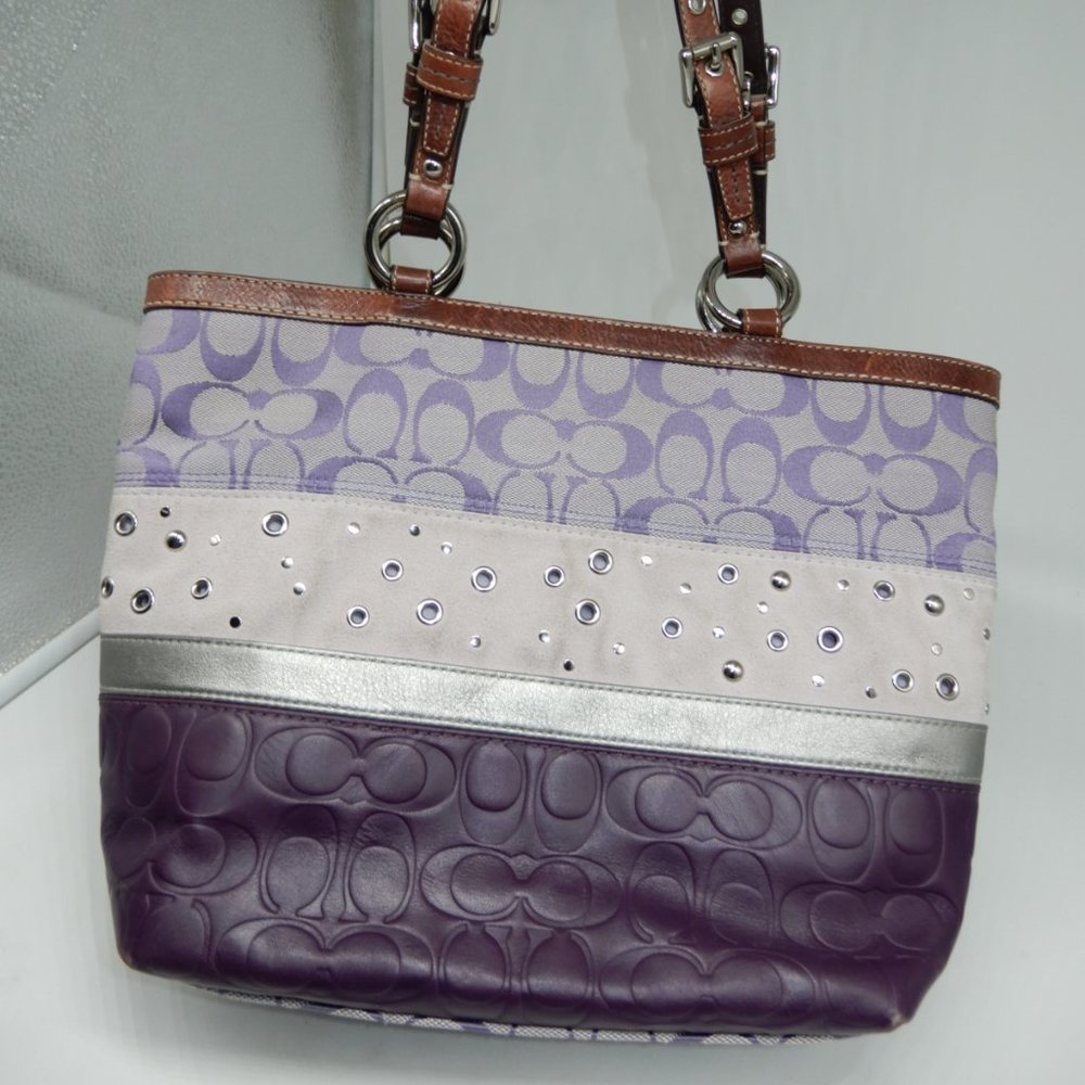COACH bag in purples